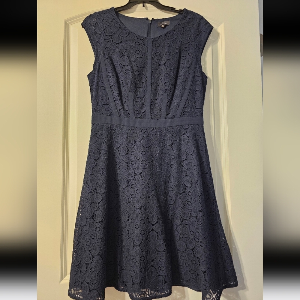 The Limited Blue Pleated A-Line Midi Dress